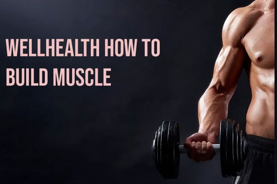 wellhealth how to build muscle tag